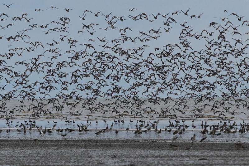 پارک ملی سمبیلانگ