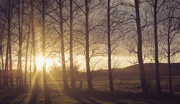 عواض کمبود ویتامین دی