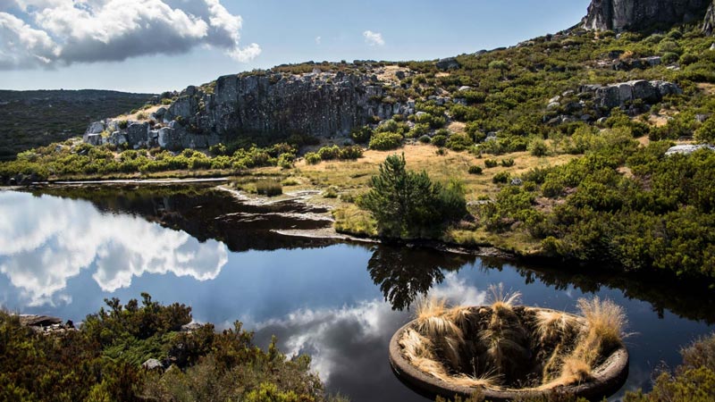 لوگوا کومپریدا