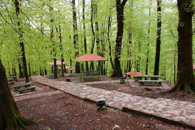 تله کابین نمک آبرود