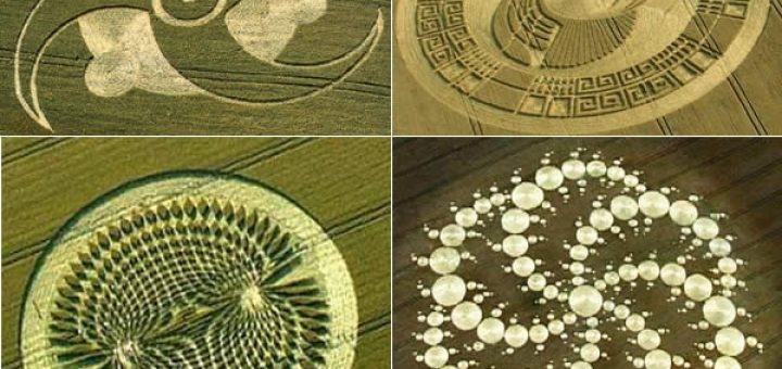 حلقه ی کشتزار