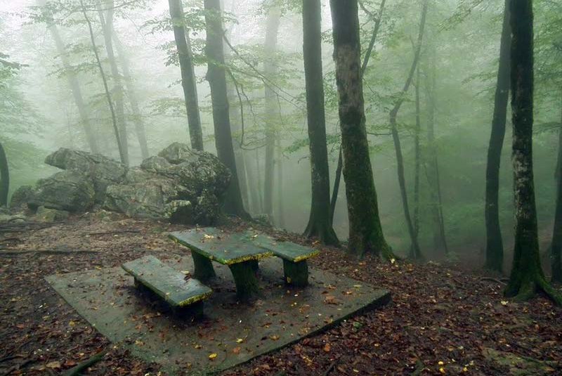 تله کابین نمک آبرود