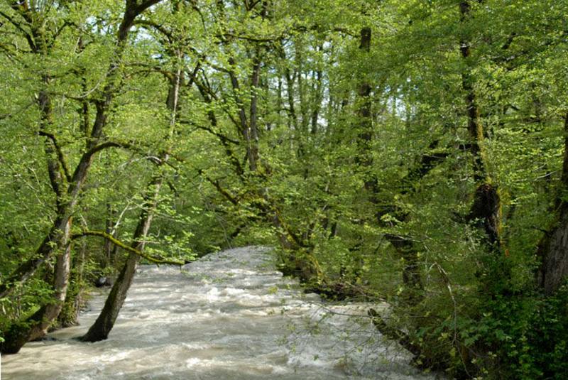 پارک جنگلی سه هزار