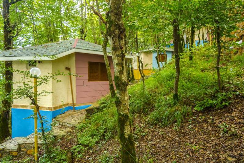 کلبه های جنگلی هتل بام رامسر