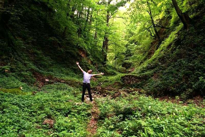 جنگل دالخانی