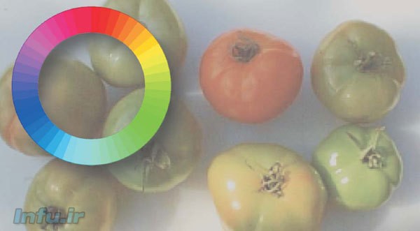 دید انسان ها