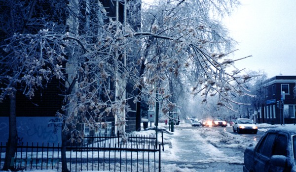 هوای سرد شما را مریض می کند.