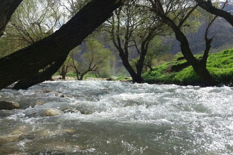 چشمه دره اسپر