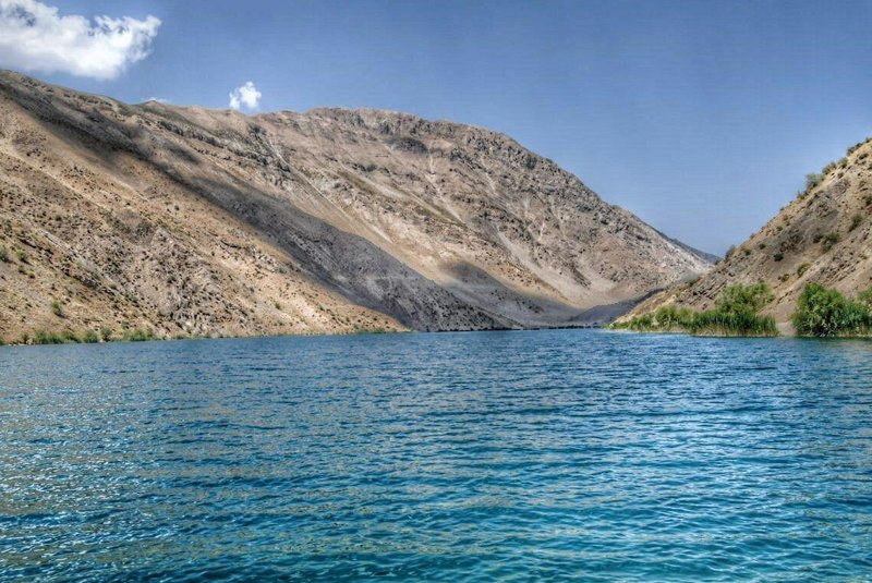 مصطفی باقری