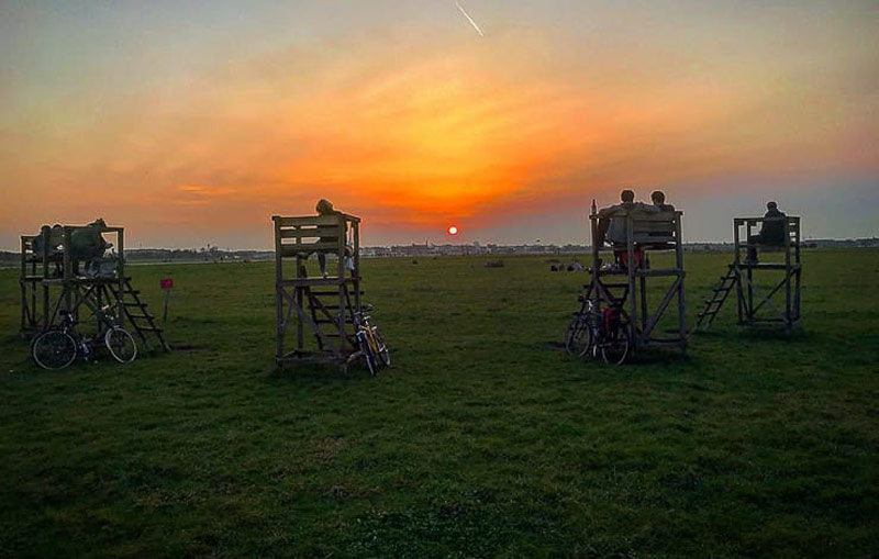 تمپل هافر فلد