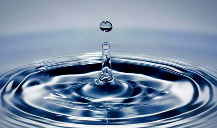 The Myth of the Intrapreneur