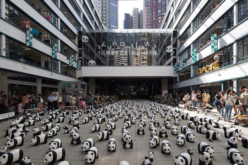 گالری هنری پی ام کیو هنگ کنگ