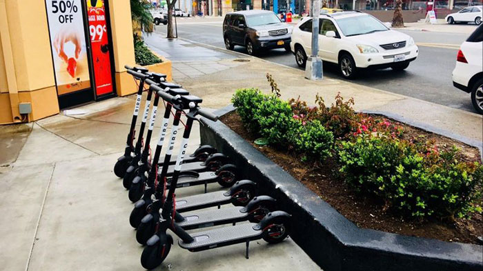 استارتاپ bird