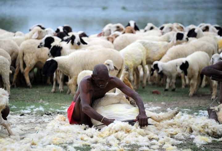 روستاهای باستانی کشاورز روستاهای باستانی کشاورز 