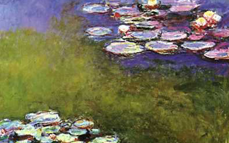 نیلوفرهای آبی