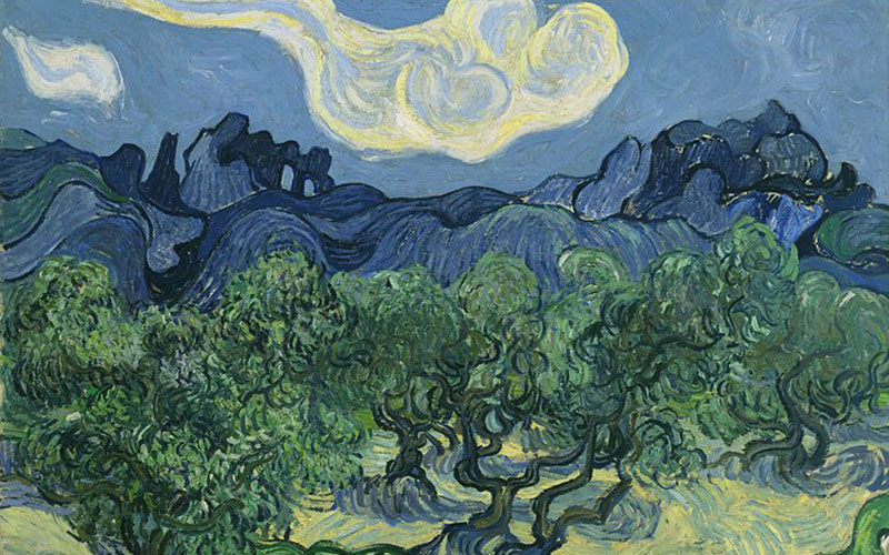 درختان زیتون