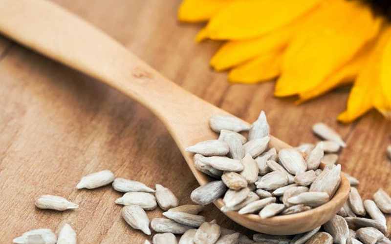 تخمه آفتابگردان