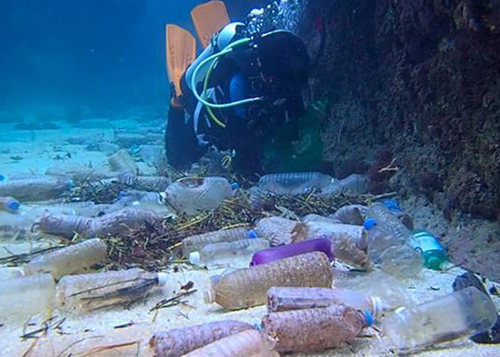 زباله های پلاستیکی