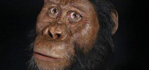 چهره قدیمی‌ترین انسان‌های اولیه