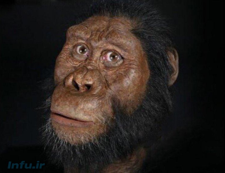 چهره قدیمی‌ترین انسان‌های اولیه