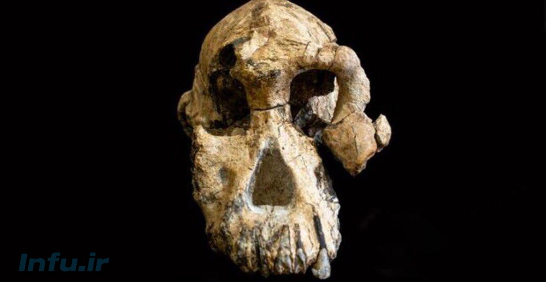 چهره قدیمی‌ترین انسان‌های اولیه