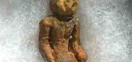 مجسمه 2 ملیون ساله