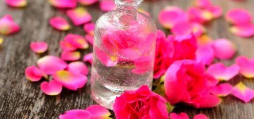 روش تهیه گلاب در خانه 