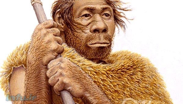 انسان خردمند