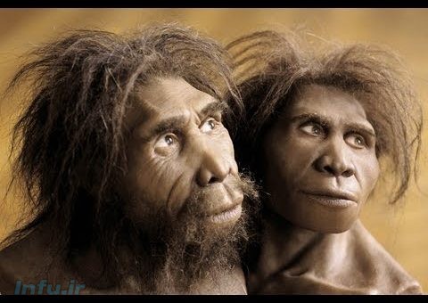 انسان راست قامت