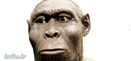 انسان رودولفی