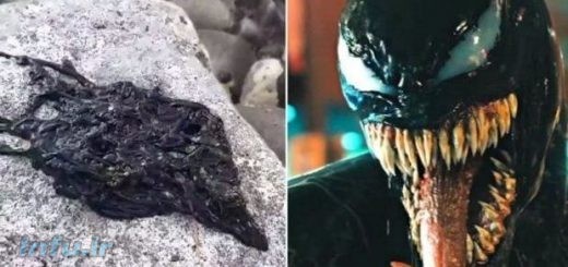 ونوم (Venom