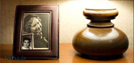 مارگوت وولک