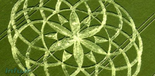 نماد گل حیات