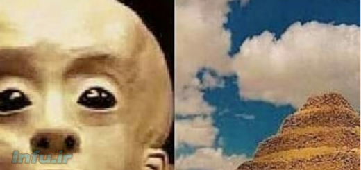 بیگانگان: نژاد گرایسلی