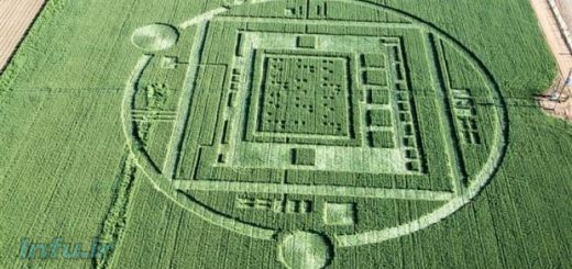 حلقه های سالیناز