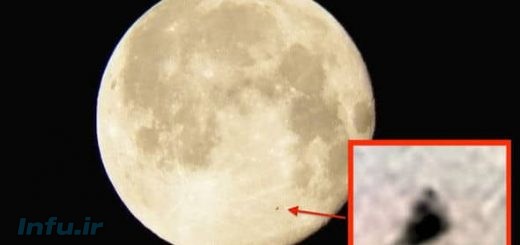 شوالیه سیاه