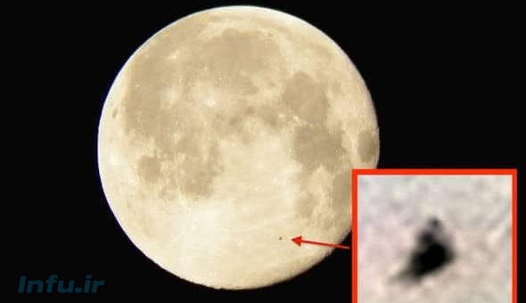 شوالیه سیاه