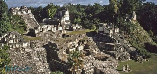 تمدن مایا