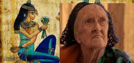 دوروتی ایدی