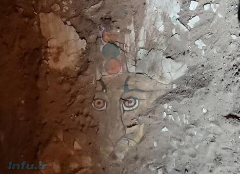 پلنگ (© دانشگاه میلان)