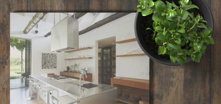 نکات دکوراسیون عنصر فنگ شویی خاک