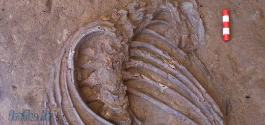 استخوان غول پیکر