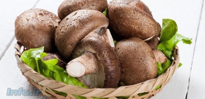 قارچ شیتاکه