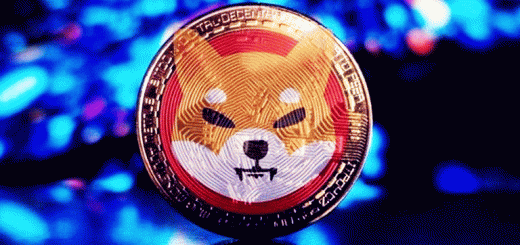 ارز شیبا اینو