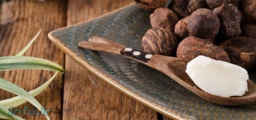 روغن باباسو