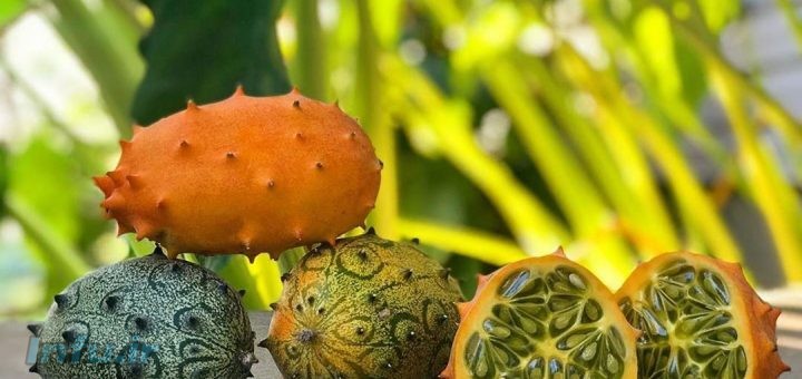 میوه کیوانو