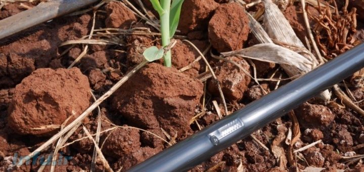 آبیاری قطره ای