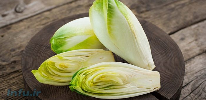 کاسنی فرنگی