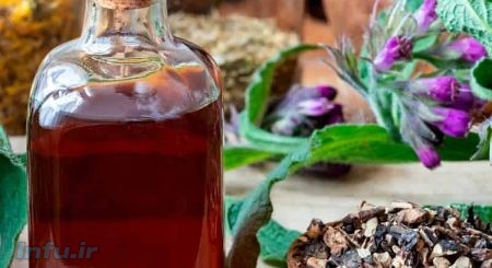 گیاه سنفیتون