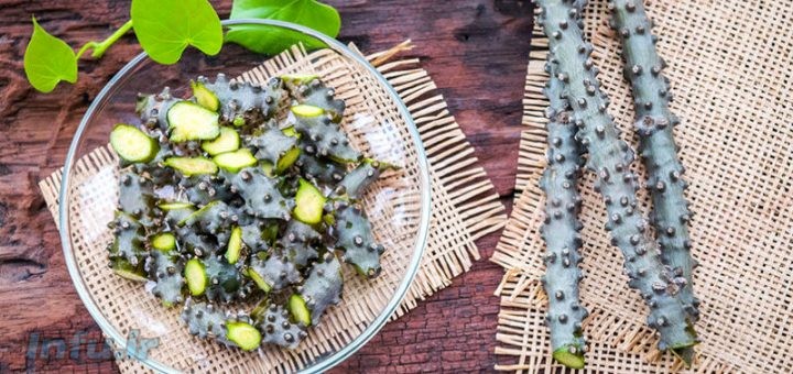 گیلوی یا گودوچی